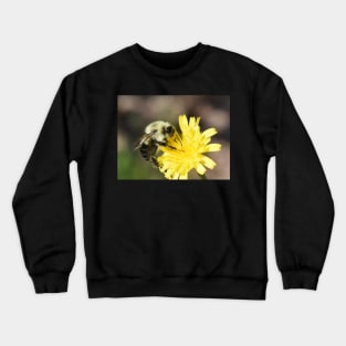 pollinator at work Crewneck Sweatshirt